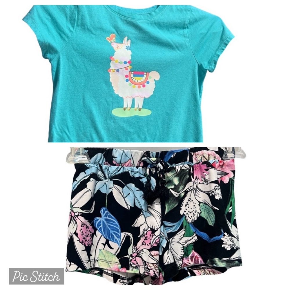 Girls shirt and shorts outfit size 6 combo/bundle